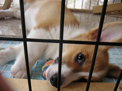 Resize of PICT0710_thumb.jpg